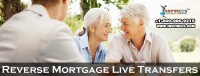 We are offering Reverse Mortgage Live Transfers, Debt Settlement Live Transfers, Merchant Cash Advance Live Transfers, Buy Reverse Mortgage Leads, Mortgage Live Leads, Cash Advance Live Leads