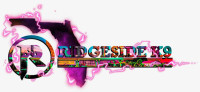 Ridgeside K9 Tampa Dog Training