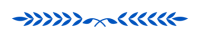 The Law Office of Robert G. Goldsmith