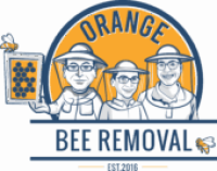 Orange Bee Removal
