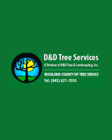 Rockland Trees