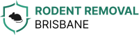Rodent Removal Brisbane