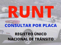 Runt Por Placa