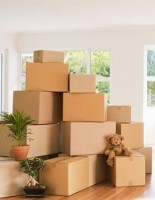Movers and Packers in Marathahalli