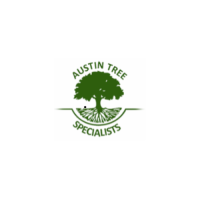Austin Tree Specialists