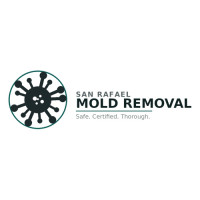 San Rafael Mold Removal