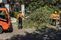Santee Tree Service