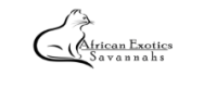 Savannah Cats & Kittens for Sale | F1–F6 Breeders