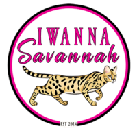 IWANNASAVANNAH