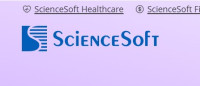 Software development Service