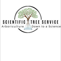 Scientific Tree Service