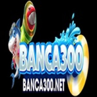 Banca300 net