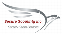 Trustworthy Security Guard Company in San Diego, CA | Secure Scouting Inc
