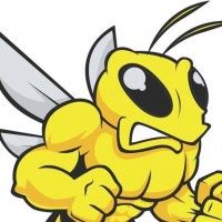 HoneyBee Septic Tank Service