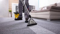 Fast Carpet Cleaning