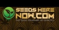 Best Feminized Seeds Online