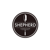 Shepherd Landscape