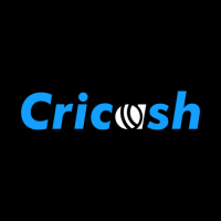 Cricash Platform Built for Clear Navigation