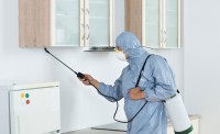 Expert Pest Control Sydney
