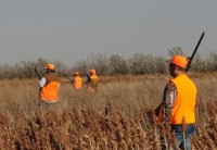 Coteau View Hunts