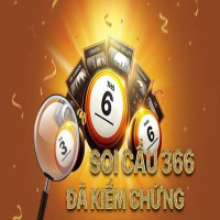 Soi cau 366