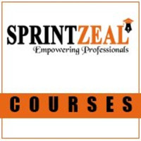PMI PBA Certification Training Course in Phoenix AZ