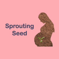 Sprouting Seed Art bank