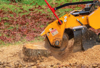 West Mobile Tree Service