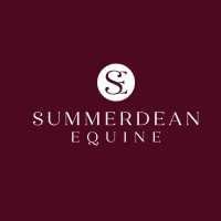 summerdeanequine
