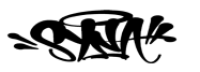 Felpa Syna World