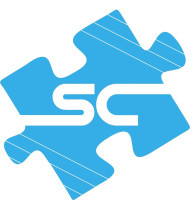 Top Digital Marketing Company In INDIA | System Catatlyst