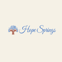 Hope Springs Psychotherapy Ladi Agahiu LCSW PLLC