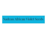 Nadeau African Violet Seeds
