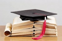 The university expert