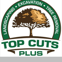 Top Cuts Tree Service & Landscaping