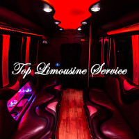 Premier limousine service in Livonia