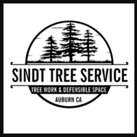 Sindt Tree Service