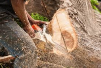 Tree Cutting, Trimming and Removal Inc.