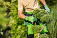 BeechGrove Tree service