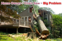 Tree Service Belcamp