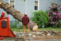 Saint John Pro Tree Service
