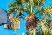 All Florida Land Services