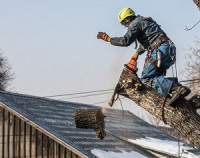 Carlsbad Tree Service