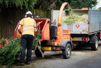 Beaumont Tree Service