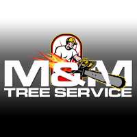 MM Bronx Tree Service