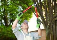 Verde Oasis Landscaping LLC