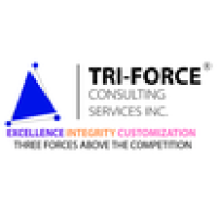 Tri-Force Consulting Services | Custom Software, AI, Cybersecurity & IT Consulting