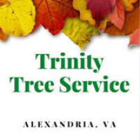 Trinity Tree Service Alexandria