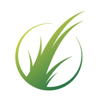Turf Layers