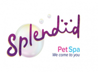 Splendid Pet Spa
